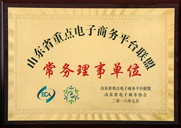 热烈祝贺山东中煤集团当选山东省重点电子商务平台联盟常务理事单位